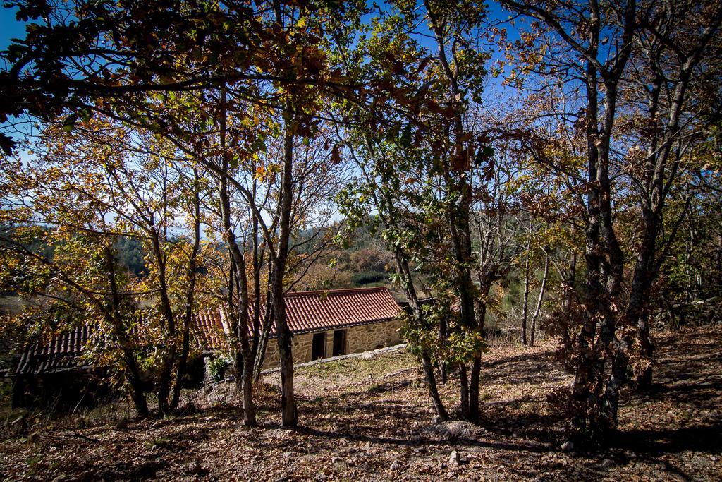 Гостьовий будинок Casas Dos Avos Вале-де-Камбра Номер фото